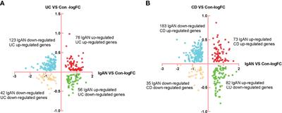 Differentiation of T Helper 17 Cells May Mediate the Abnormal Humoral Immunity in IgA Nephropathy and Inflammatory Bowel Disease Based on Shared Genetic Effects